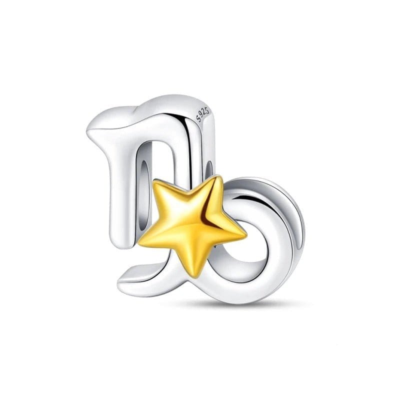 Pangama Jewelry Gold Star Astrology Signs Zodiac Constellation Charms