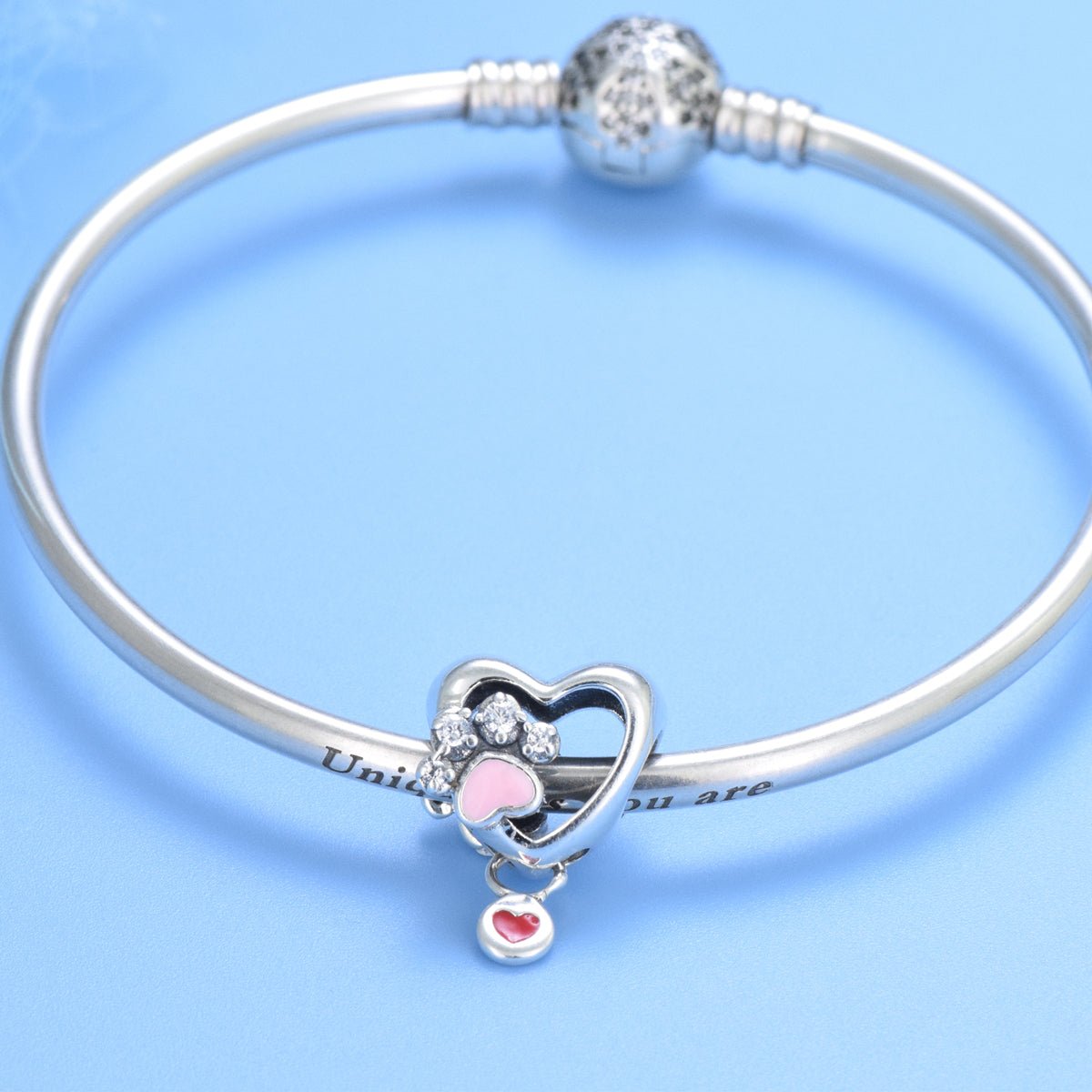 Pangama Jewelry Sparkling Paw Print & Heart Charm