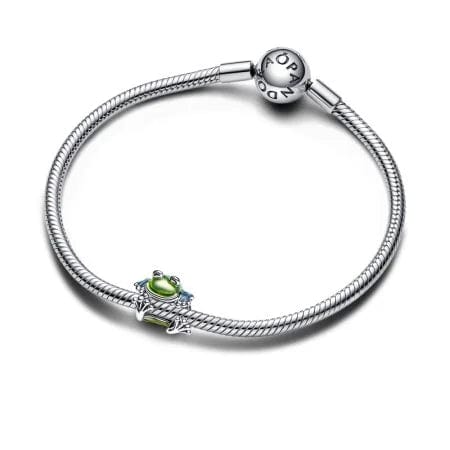 Kletterfrosch Charm