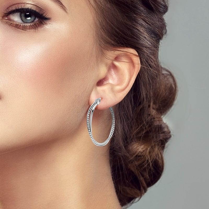 Pangama Jewelry Earrings Elegant Twist Hoop Earrings