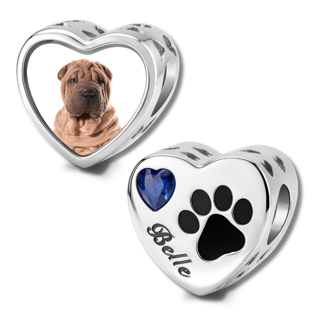 Pangama Jewelry Personalized Pet Photo & Engraved Paw Print Birthstone Heart Charm