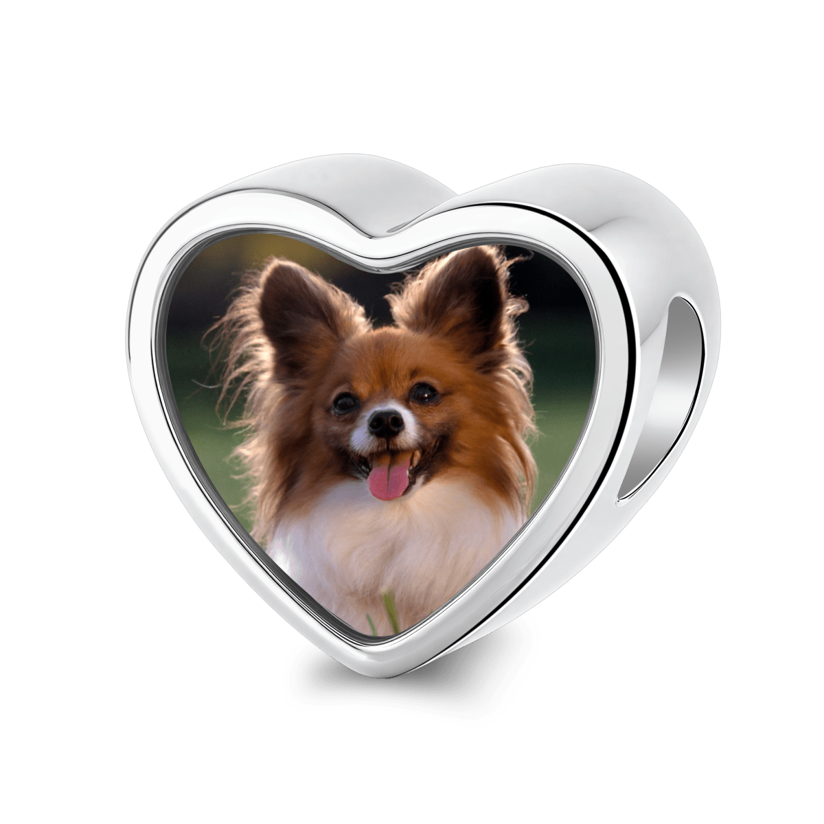 Pangama Jewelry Personalized Pet Photo & Engraved Paw Print Heart Charm