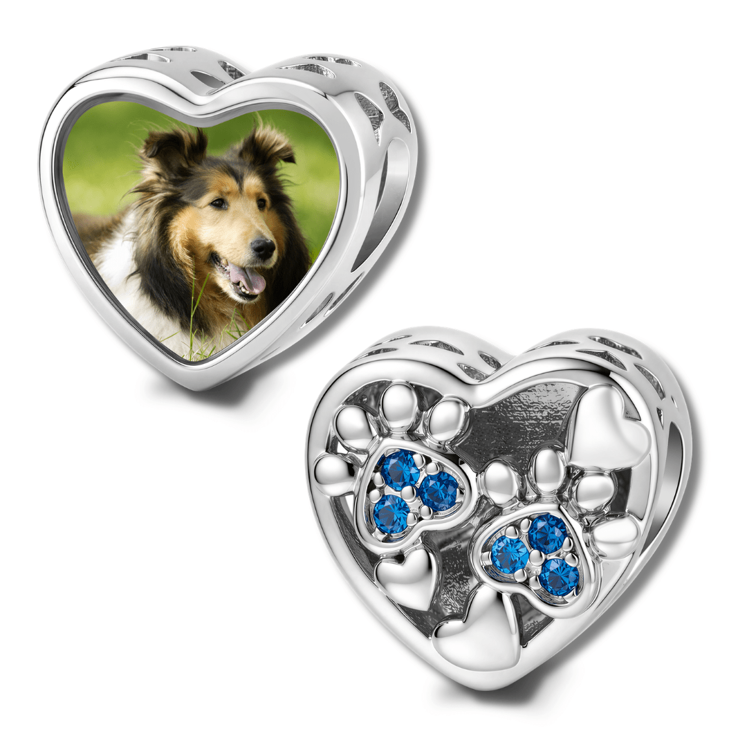 Pangama Jewelry Personalized Pet Photo & Paw Print Heart Charm